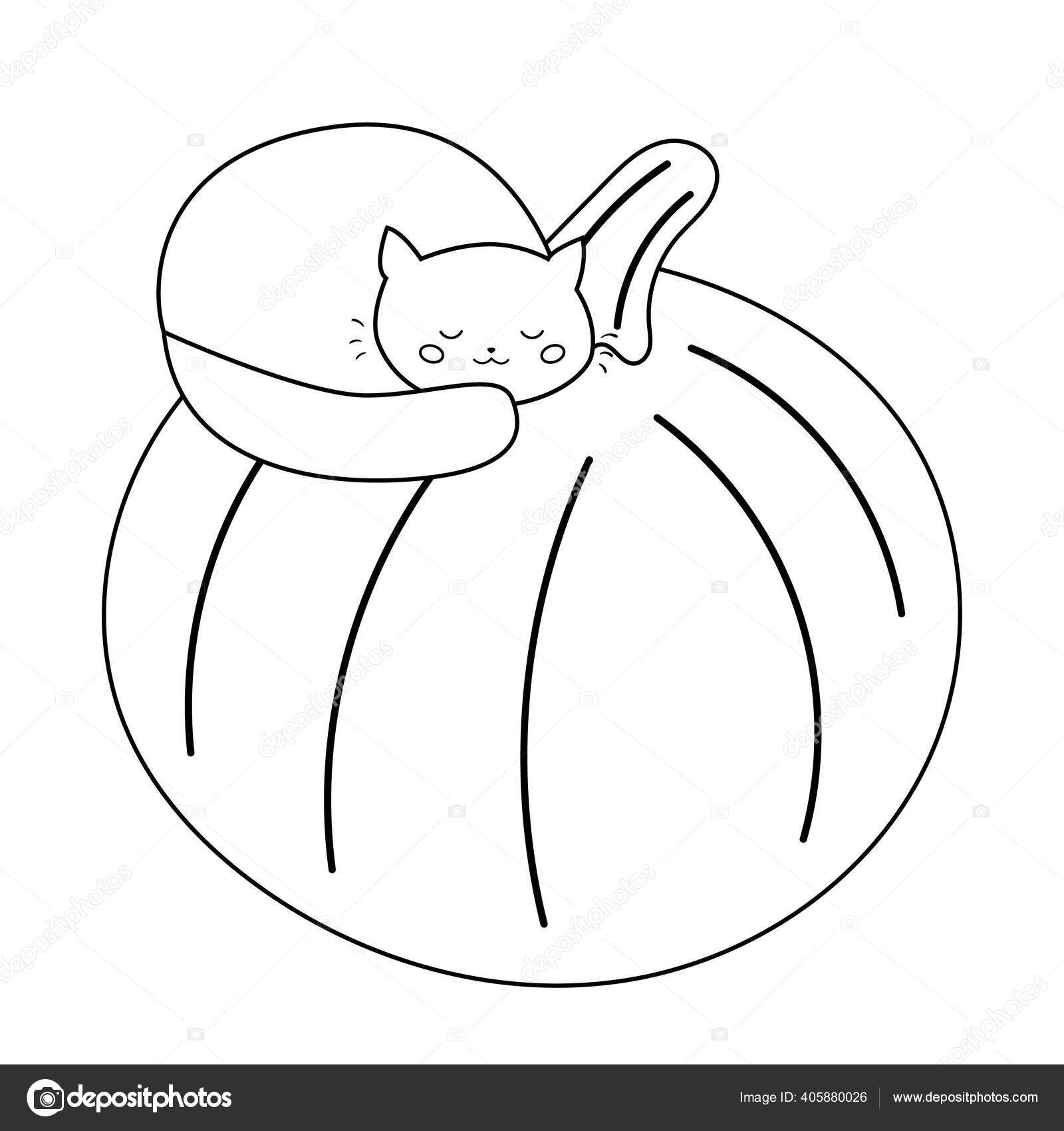 Gato kawaii bonito está dormindo em abóbora grande. Desenhos